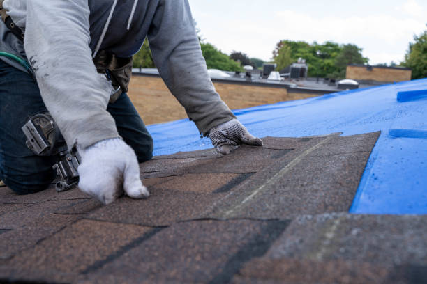 Best Gutter Installation and Roofing  in Merrimac, VA